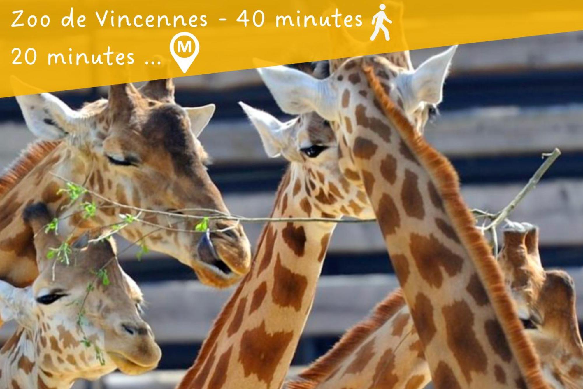 Appartement Entier Calme - Parking Free - Proche Paris Et Chateau - Wifi Hd Vincennes Exterior foto